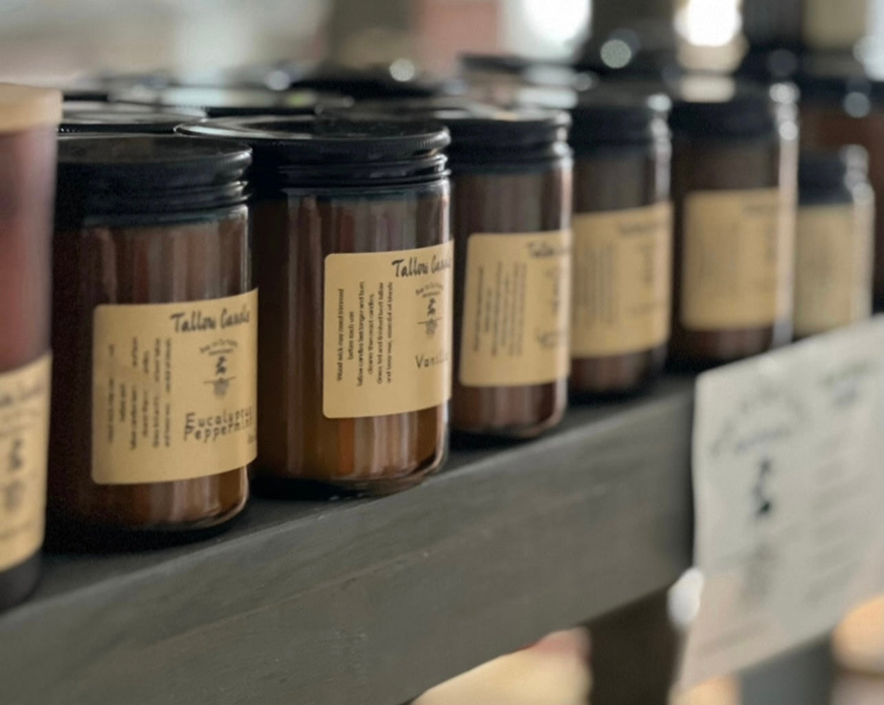 Tallow Candle Blueberry Cheesecake