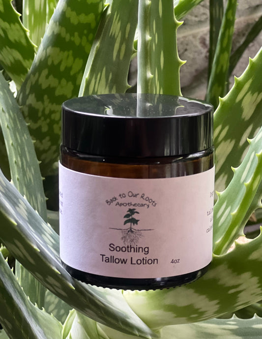 Tallow Soothing Lotion